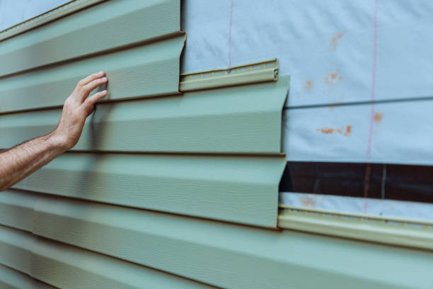 Best Siding Painting and Refinishing  in Lake Magdalene, FL